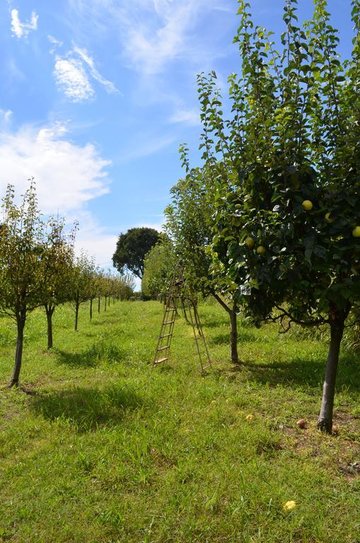 Agriturismo Dondino Cavriana Exterior photo